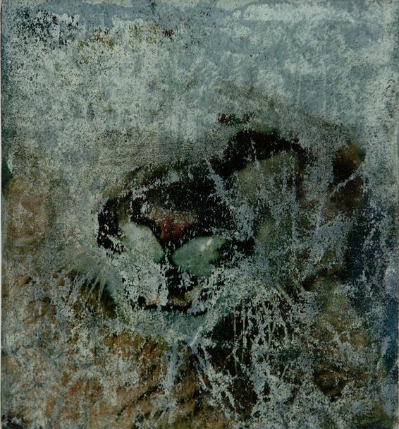 damaged photograph #02