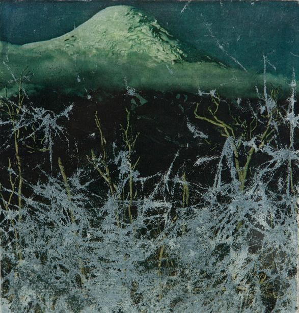 damaged photograph #07